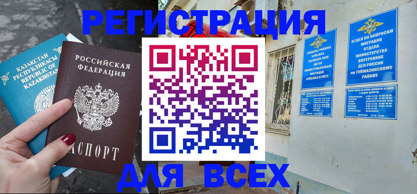 прописка поиск в Коле